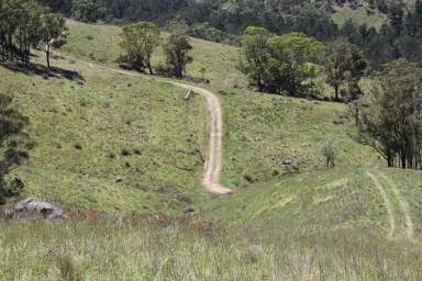 Farm For Sale - NSW - Ganbenang - 2790 - "River Valley"  (Image 2)