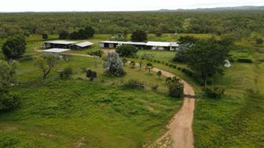 Farm For Sale - QLD - Mount Surprise - 4871 - North Queensland Calf Factory Offered WIWO  (Image 2)