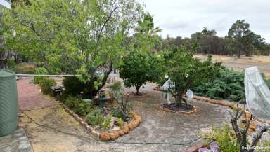 Farm For Sale - WA - Kojonup - 6395 - Secluded Gem  (Image 2)