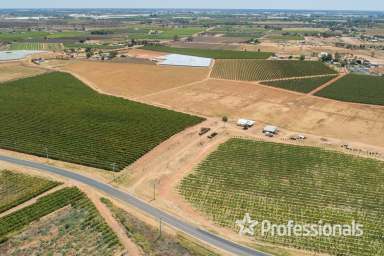 Farm For Sale - VIC - Cardross - 3496 - Prime 19.9Ha (49 Acre) Horticultural Land  (Image 2)