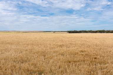 Farm For Sale - SA - Sherlock - 5301 - Cropping & Grazing  (Image 2)