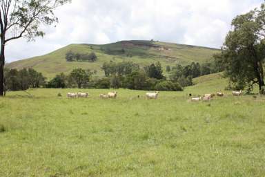 Farm Auction - QLD - Boonah - 4310 - Large Scale Developed Scenic Rim Grazing with Nineteen Freehold Titles  (Image 2)