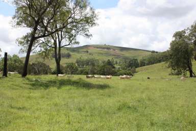 Farm Auction - QLD - Boonah - 4310 - Large Scale Developed Scenic Rim Grazing with Nineteen Freehold Titles  (Image 2)