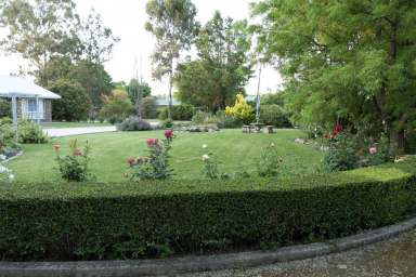 Farm For Sale - NSW - Inverell - 2360 - Serene Lifestyle Living - A Leafy Oasis  (Image 2)