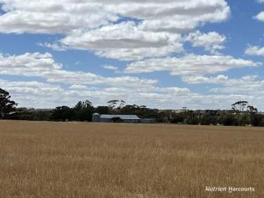 Farm For Sale - WA - Morbinning - 6304 - "Munjaducking Farm" - Beverley  (Image 2)