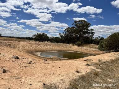 Farm For Sale - WA - Morbinning - 6304 - "Munjaducking Farm" - Beverley  (Image 2)