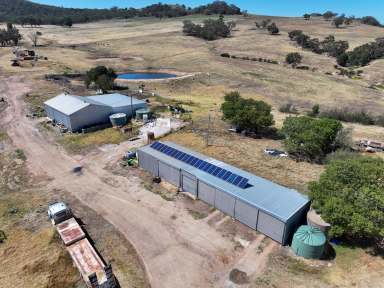 Farm For Sale - NSW - Mangoplah - 2652 - Prime Undulating Versatile Country  (Image 2)