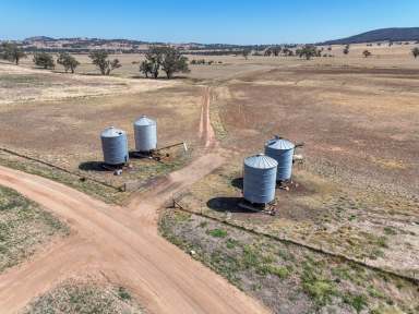 Farm For Sale - NSW - Mangoplah - 2652 - Prime Undulating Versatile Country  (Image 2)