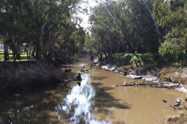 Farm For Sale - NSW - Forbes - 2871 - 15km River frontage with stunning renovated Homestead  (Image 2)