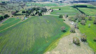 Farm Tender - NSW - Glen Innes - 2370 - Top Quality Cropping & Grazing Enterprise  (Image 2)