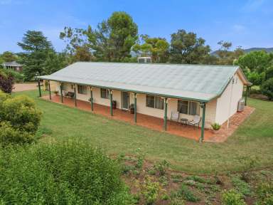 Farm For Sale - NSW - Werris Creek - 2341 - Comfortable family home with gorgeous rural views!  (Image 2)