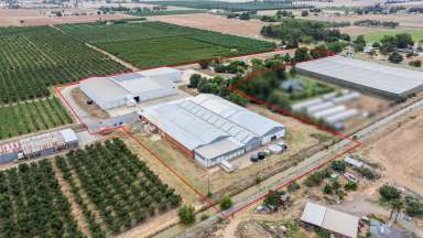 Farm Auction - VIC - Ardmona - 3629 - Cool Storage And Logistics Centre  (Image 2)