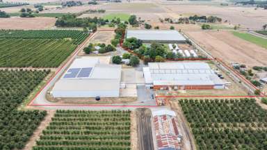 Farm Auction - VIC - Ardmona - 3629 - Cool Storage And Logistics Centre  (Image 2)