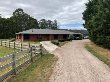 Farm For Sale - TAS - Edith Creek - 7330 - Perfection @ Edith Creek  (Image 2)