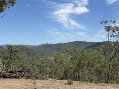 Farm For Sale - NSW - Paynes Crossing - 2325 - Diverse Acreage with Wollombi Brook Frontage  (Image 2)