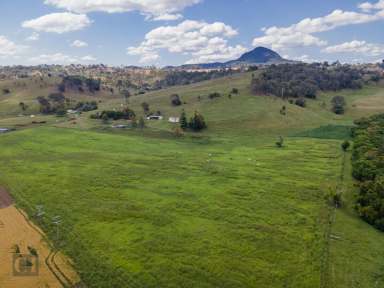 Farm For Sale - QLD - Maroon - 4310 - Grazing, lifestyle, irrigation - with a spectacular mountain outlook  (Image 2)