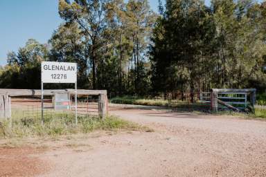 Farm Auction - QLD - Moonie - 4406 - Premium Moonie District - Grazing / Backgrounding  (Image 2)