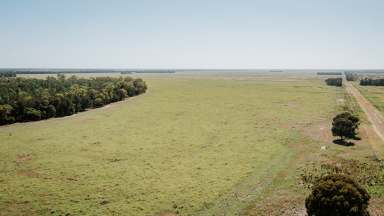 Farm Auction - QLD - Moonie - 4406 - Premium Moonie District - Grazing / Backgrounding  (Image 2)