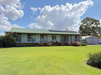 Farm For Sale - NSW - Moree - 2400 - STEP INSIDE AND BE IMPRESSED!  (Image 2)