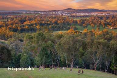 Farm For Sale - NSW - Moorong - 2650 - A Slice of Heaven  (Image 2)