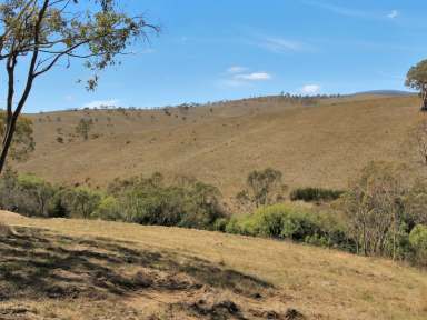 Farm For Sale - VIC - Omeo - 3898 - PRIVATE POSITION WITH FARMLAND VIEWS  (Image 2)