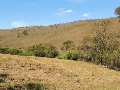 Farm For Sale - VIC - Omeo - 3898 - PRIVATE POSITION WITH FARMLAND VIEWS  (Image 2)