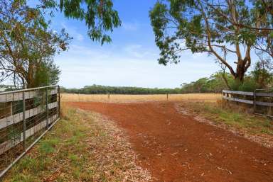 Farm For Sale - VIC - Gorae West - 3305 - Perfect Grazing Block  (Image 2)