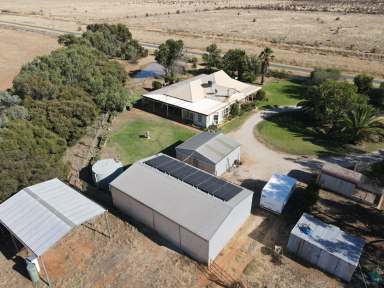 Farm For Sale - VIC - Mincha - 3575 - Stunning 4-Bedroom Brick Veneer Home on 50 Acres of Irrigation Land  (Image 2)