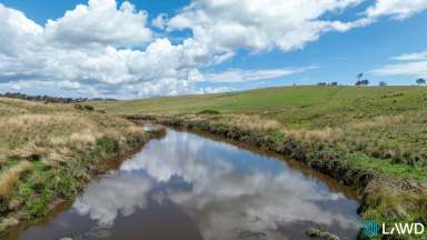 Farm For Sale - NSW - Armidale - 2350 - PRIME NEW ENGLAND GRAZING  (Image 2)