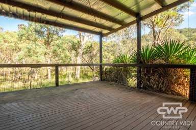 Farm For Sale - NSW - Glen Innes - 2370 - Wildlife Haven - A Naturalist's Dream  (Image 2)