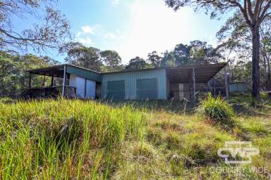 Farm For Sale - NSW - Glen Innes - 2370 - Wildlife Haven - A Naturalist's Dream  (Image 2)