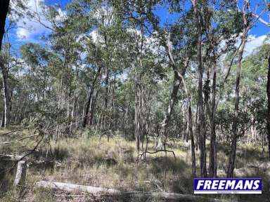 Farm For Sale - QLD - Ballogie - 4610 - A place to escape the hussel of the city  (Image 2)