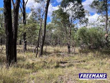 Farm For Sale - QLD - Ballogie - 4610 - A place to escape the hussel of the city  (Image 2)