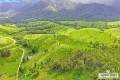 Farm Auction - NSW - Tenterfield - 2372 - 'Kochs' - Eastern Breeding Country.....  (Image 2)