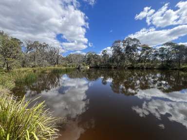 Farm For Sale - NSW - Bungonia - 2580 - 100 Acre Private Adventureland, Dwelling Entitlement, Mainly Bushland, Cleared Areas, Driving Tracks, Ideal For Dirt Bikes & Recreational Activities,  (Image 2)