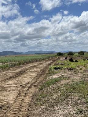 Farm For Sale - QLD - Balberra - 4740 - 160 acres, close to Mackay, Sarina and the Beaches.  (Image 2)