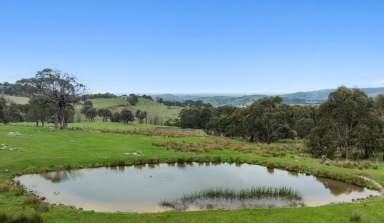 Farm For Sale - VIC - Kithbrook - 3666 - Blue-Chip Grazing Land with Planning Permit, Strathbogie Ranges  (Image 2)