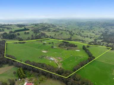 Farm For Sale - VIC - Kithbrook - 3666 - Blue-Chip Grazing Land with Planning Permit, Strathbogie Ranges  (Image 2)