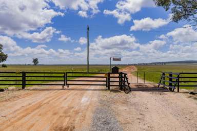 Farm For Sale - NSW - Narrandera - 2700 - Large Scale Mixed farming  (Image 2)