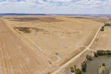 Farm For Sale - NSW - Grong Grong - 2652 - Ideal Add on with Creek frontage  (Image 2)