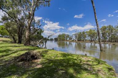 Farm For Sale - NSW - Grong Grong - 2652 - Ideal Add on with Creek frontage  (Image 2)