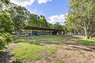 Farm For Sale - QLD - Dalby - 4405 - Lifestyle & Equine Property - Space, Comfort & Premier Facilities!  (Image 2)