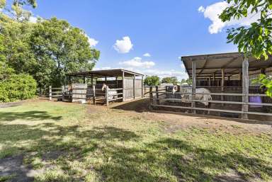 Farm For Sale - QLD - Dalby - 4405 - Lifestyle & Equine Property - Space, Comfort & Premier Facilities!  (Image 2)