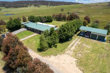 Farm For Sale - NSW - Goulburn - 2580 - Rhyanna Valley Gem  (Image 2)