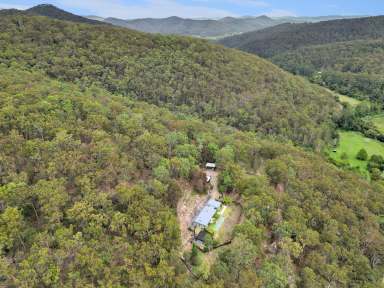 Farm For Sale - NSW - Laguna - 2325 - Modern Living in a Private Bushland Sanctuary  (Image 2)