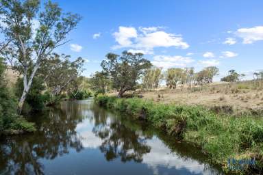 Farm For Sale - NSW - Frogmore - 2586 - GRAZING & CROPPING ENTERPRISE. PRIME RIVER FRONTAGE  (Image 2)