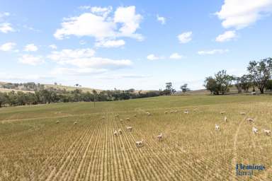 Farm For Sale - NSW - Frogmore - 2586 - GRAZING & CROPPING ENTERPRISE. PRIME RIVER FRONTAGE  (Image 2)