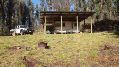 Farm For Sale - NSW - Tumbarumba - 2653 - "SUNRISE" Remarkable Lifestyle Property  (Image 2)