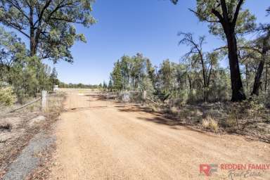 Farm For Sale - NSW - Minore - 2830 - Family Friendly Farmlet Close To Town!  (Image 2)