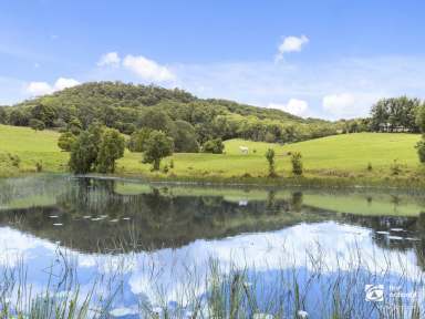 Farm For Sale - NSW - Eungella - 2484 - Outstanding Country Lifestyle 5-7 mins to Town Centre  (Image 2)